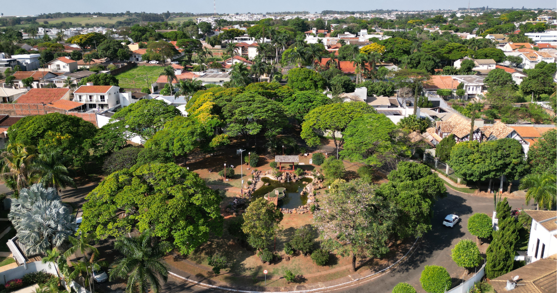 Paranavaí alerta que árvores saudáveis não devem ser removidas por motivos estéticos