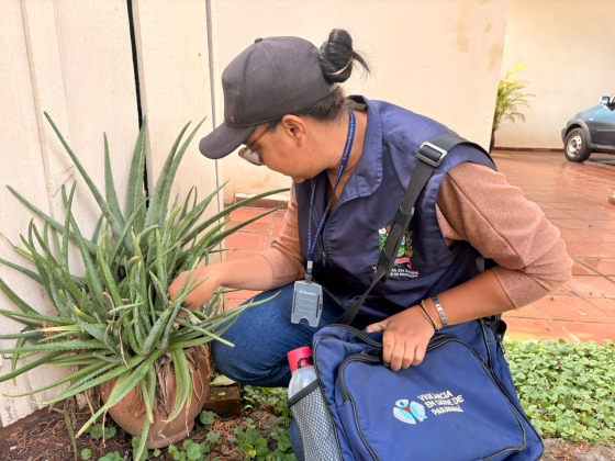 Agentes de endemias intensificam visitas domiciliares para reforçar combate à dengue em Paranavaí